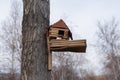 Birdhouse bird house wooden tied on a spring tree empty without birds on sky background Royalty Free Stock Photo