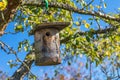 Birdhouse Bird nest box, hanging on a tree