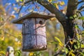 Birdhouse Bird nest box, hanging on a tree