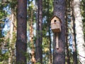 Birdhouse Royalty Free Stock Photo