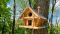 birdhouse for birds . Royalty Free Stock Photo