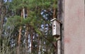 Birdhouse for birds on a tree in the forest. Home for bird in wildlife