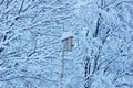 Birdhouse for birds in winter among the snow-covered trees