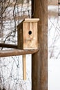 Birdhouse for the birds on wood background