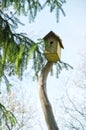 Birdhouse on the branch of an old dead tree Royalty Free Stock Photo