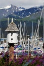 Birdhouse and Busy Harbor in Alaska