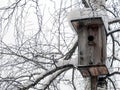 Birdhouse covered with snow