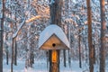 Birdhouse covered with snow on a pine tree. Shelter for birds. Sunny day in the forest Royalty Free Stock Photo