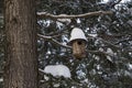 Birdhouse covered in snow