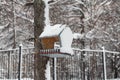 Birdhouse covered with snow on the tree