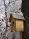 Birdhouse empty in a cold winter forest Royalty Free Stock Photo