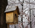 Birdhouse empty in a cold winter forest Royalty Free Stock Photo