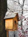 Birdhouse empty in a cold winter forest Royalty Free Stock Photo