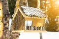 Birdhouse feeder on a birch tree in winter. Sun beam Royalty Free Stock Photo