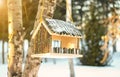 Birdhouse feeder on a birch tree in winter. Sun beam Royalty Free Stock Photo