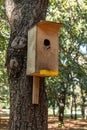 Birdhouse feeder on a tree Park day