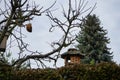 Birdhouse and feeders in the recreation area in winter. Berlin, Germany