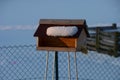 Birdhouse for feeding covered with snow in winter sun Royalty Free Stock Photo