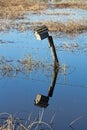 A birdhouse on a fence with its reflection in water Royalty Free Stock Photo