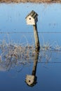 A birdhouse on a fence with its reflection in water Royalty Free Stock Photo