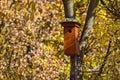 Birdhouse fixed on tree branch and leaves on trees