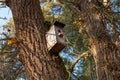 Birdhouse in the forest Royalty Free Stock Photo