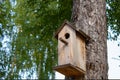 A birdhouse for forest birds on a conifer