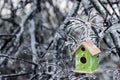 Birdhouse hanging on ice covered tree branches