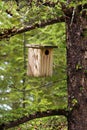 Birdhouse hanging
