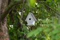 Birdhouse hanging from tree branch Royalty Free Stock Photo