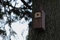 Birdhouse hanging on a tree