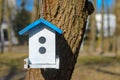 Birdhouse at home garden