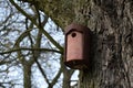 Birdhouse for horse chestnuts made of concrete casting with a number on the bottom for ornithologists. a smaller flight opening me Royalty Free Stock Photo