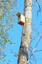 A birdhouse. a house for birds, on a tree. Autumn Royalty Free Stock Photo
