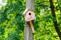 Birdhouse house for birds on a tree in the park