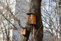 Birdhouse. House for birds on a tree. Taking care of birds.