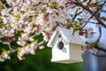 a birdhouse installed in a blossoming tree