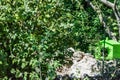 Birdhouse on an island inside a lake Royalty Free Stock Photo