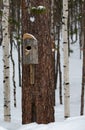 a birdhouse made of chock on a tree in a park in Noyabrsk in winter Royalty Free Stock Photo