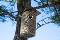 Birdhouse made from corks from wine bottles. Birdhouse on pine tree