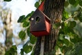 A birdhouse made of plywood, painted red tree with large