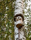 The birdhouse is made of a tree trunk on the shore Royalty Free Stock Photo