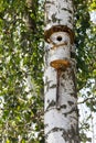 The birdhouse is made of a tree trunk on the shore Royalty Free Stock Photo