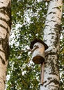 the birdhouse is made of a tree trunk Royalty Free Stock Photo