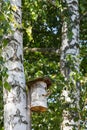 the birdhouse is made of a tree trunk on the shore Royalty Free Stock Photo