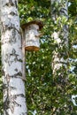 the birdhouse is made of a tree trunk on the shore Royalty Free Stock Photo