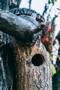 Wooden birdhouse on a tree Royalty Free Stock Photo