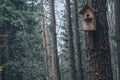 Birdhouse made of wood in the middle of the forest Royalty Free Stock Photo