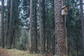 Birdhouse made of wood in the middle of the forest Royalty Free Stock Photo