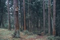 Birdhouse made of wood in the middle of the forest Royalty Free Stock Photo